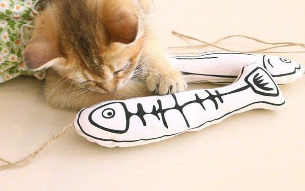 Cá nhồi bông catnip nhỏ cho mèo