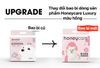 Tã Lót Cho Thú Cưng - Honeycare Petpad Luxury - S/M/L