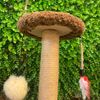 Trụ Cào Jian Đơn0809 - Jian Cat Tree Single809
