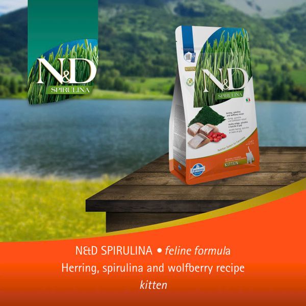 Hạt Cho Mèo Con Cao Cấp – N&D Spirulina Dòng Kitten Siêu Dinh Dưỡng