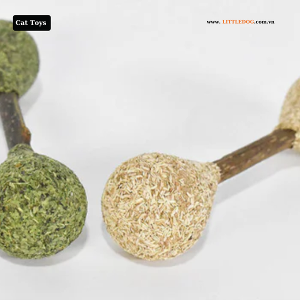 Đồ Chơi Catnip Cho Mèo - Catwant Catnip / Silvervine Dental Buds