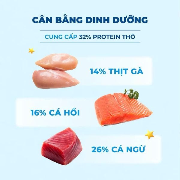 MR.VET G1 - Hạt Khô Cho Mèo Cao Cấp Không Ngũ Cốc, Kèm Topping Thịt Tươi Đông Khô (1KG)