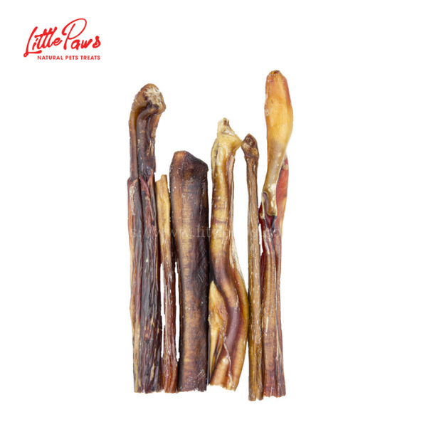 Little Paws - Pín Bò Sấy- S/M/L