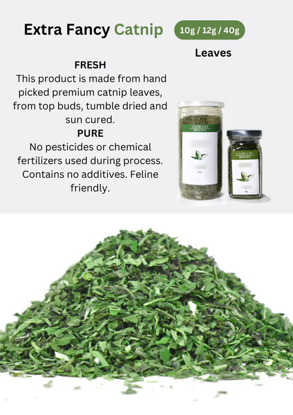 Cỏ Cho Mèo Thân Lá - Catwant Catnip - 40g/10g