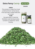 Cỏ Cho Mèo Thân Lá - Catwant Catnip - 40g/10g