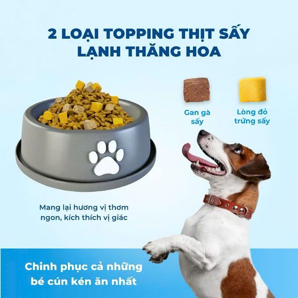 MR.VET D1 Hạt Khô Cao Cấp Cho Chó (1.4KG)