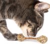 Catwant cây nho bạc - Đồ chơi sạch răng cho mèo