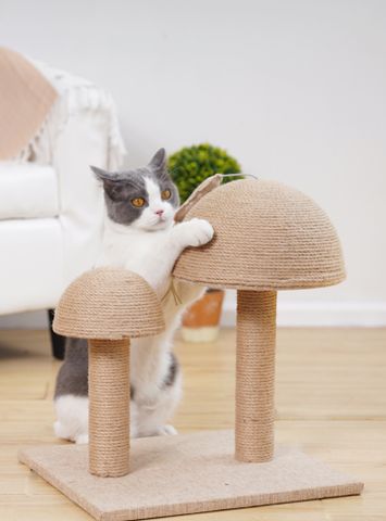 Trụ Cào Kara Nấm Đôi KL-129 - Kara Cat Tree Mushroom Double KL-129