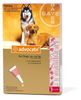 Advocate 10-25kg trị kí sinh trong ngoài cho chó 2.5ml
