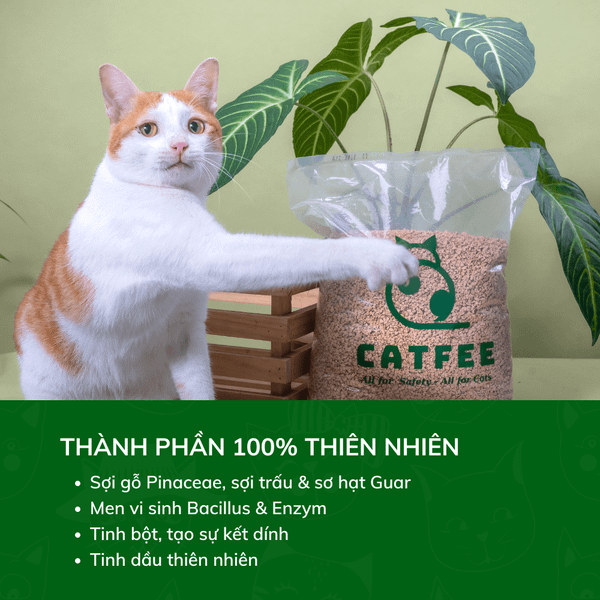 Cát Vệ Sinh Cho Mèo - CattFee Cát Gỗ Vón Cho Mèo - 6L/9L