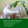 Cát Vệ Sinh Cho Mèo - CattFee Cát Gỗ Vón Cho Mèo - 6L/9L