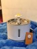 Water Fountain 1.6L - Máy Lọc Nước