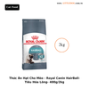 Thức Ăn Hạt Cho Mèo - Royal Canin Cat Hairball - Tiêu Hóa Lông - 400g/ 2kg
