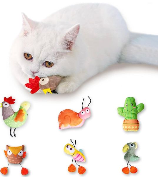 Đồ chơi Mèo hình thú bông nhỏ - Kara Cattoy