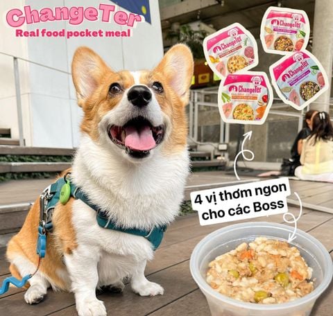 ChangeTer - Thức ăn đóng hộp đầy dinh dưỡng cho Chó 80g