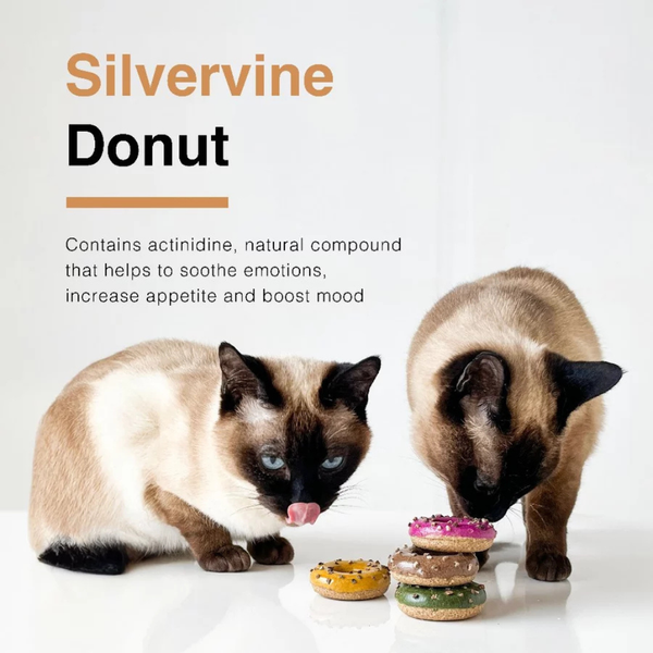 Đồ Chơi Cho Mèo Hình Donut - Catwant Silvervine Donuts