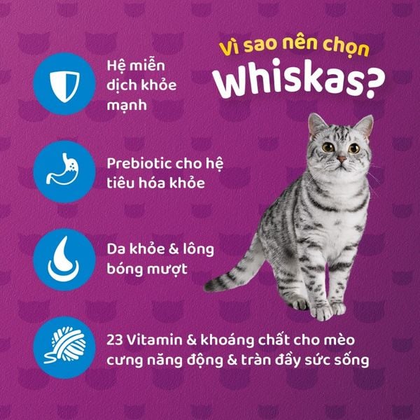 Thức ăn hạt khô Whiskas cho Mèo trưởng thành 3kg