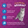 Thức ăn hạt khô Whiskas cho Mèo trưởng thành 3kg