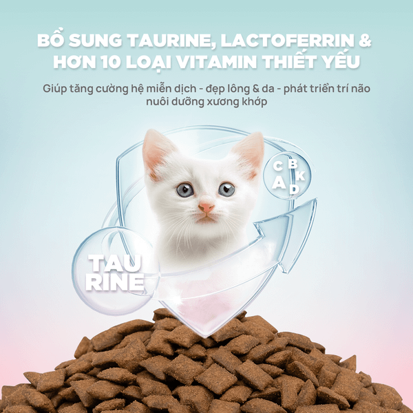 Thức Ăn Hạt Churro C90 Dành Cho Mèo Con – PetQ