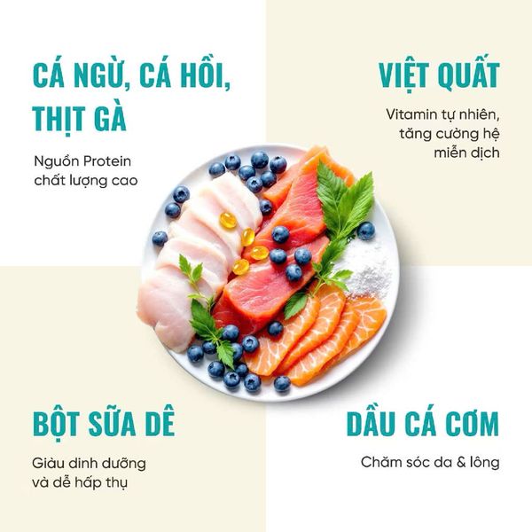 Thức Ăn Cho Mèo Con Cao Cấp Bổ Sung Sữa Dê - Bite Of Wild Kitten K42 - 1Kg