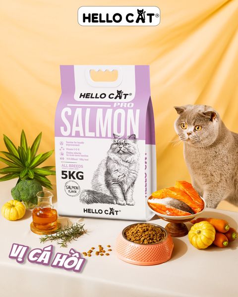 Thức Ăn Hạt Cho Mèo Trưởng Thành Hello Cat – Vị Cá Hồi – Bao 5kg