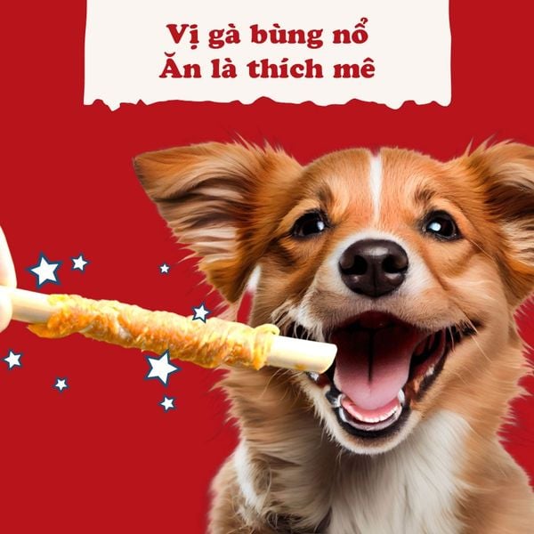 DoggyMan - Que Cuốn Thịt Gà – Gói 10 Cây