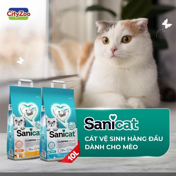 Cát Vệ Cho Mèo - Sanicat -Cát Đất Sét - 10L
