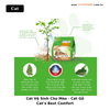 Cát Vệ Sinh Cho Mèo - Cát Gỗ Cat’s Best Comfort 4.3kg