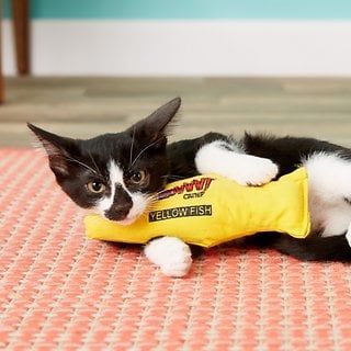 Yeowww Catnip Cá Vàng - Yellow Fish Catnip 1pcs