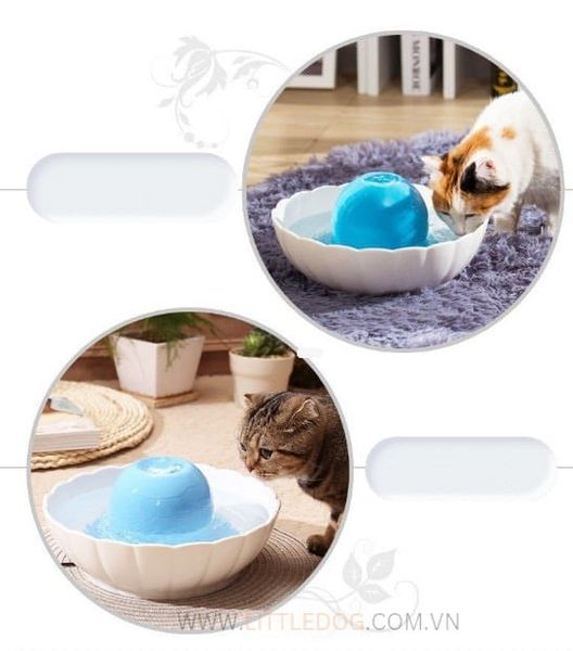 Máy Lọc Nước - Se Waterfoutain Ceramics Orb Aura 2.1L