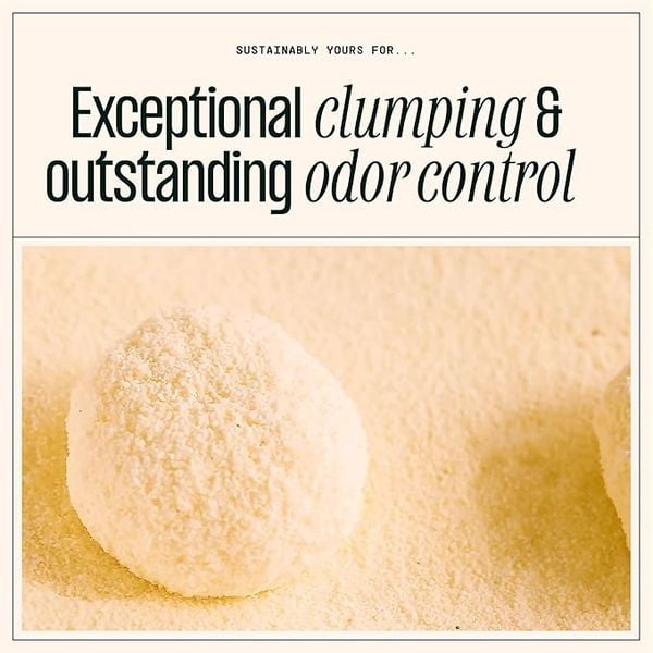 Cát Vệ Sinh Hữu Cơ Hạt Phối Trộn Petfive Sustainably Yours – Túi 5.9KG