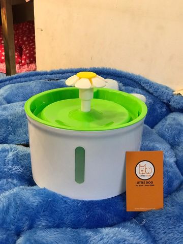 Water Fountain 2.4L - Máy Lọc Nước