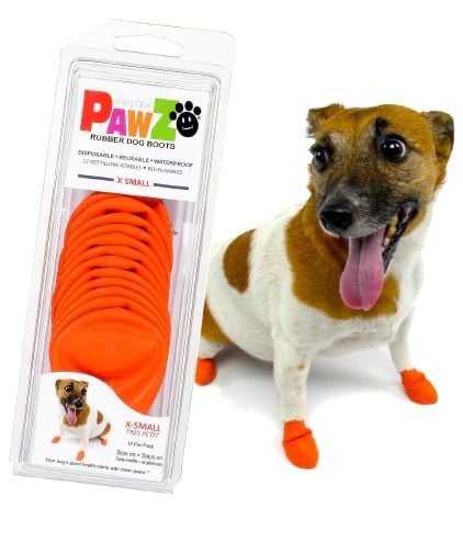 PawZ- Giày Bảo Vệ Chân Cho Thú Cưng Bằng Cao Su
