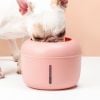 Pakeway Water fountain - Máy lọc nước Pakeway 2.5L