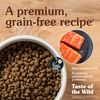 Taste Of The Wild Dog Pacific Salmon Puppy 500g-Chó Con Vị Cá Hồi