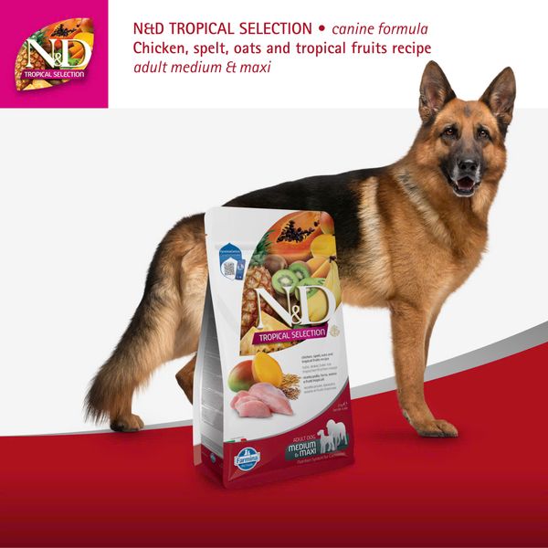HẠT CHO CHÓ TRƯỞNG THÀNH FARMINA N&D TROPICAL SELECTION – GÀ / CÁ HỒI & TRÁI CÂY NHIỆT ĐỚI (DÒNG MEDIUM/MAXI)