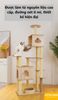 TRỤ MÈO CÀO YC YMJ-1 - YC CAT TREE YMJ-1 (1015x605x1785 mm)