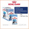 Royal Canin Maxi Puppy 140g