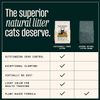 Cát Vệ Sinh Hữu Cơ Hạt To Petfive Sustainably Yours – Multi-Cat (5.9KG)