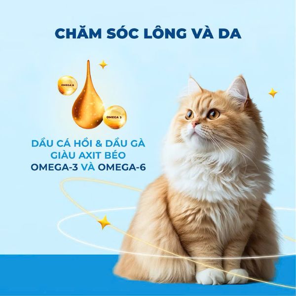 MR.VET G1 - Hạt Khô Cho Mèo Cao Cấp Không Ngũ Cốc, Kèm Topping Thịt Tươi Đông Khô (1KG)