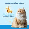 MR.VET G1 - Hạt Khô Cho Mèo Cao Cấp Không Ngũ Cốc, Kèm Topping Thịt Tươi Đông Khô (1KG)