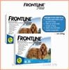 Frontline Plus Nhỏ Gáy Trị Bọ Chét & Ve Cho Chó 10 - 20kg