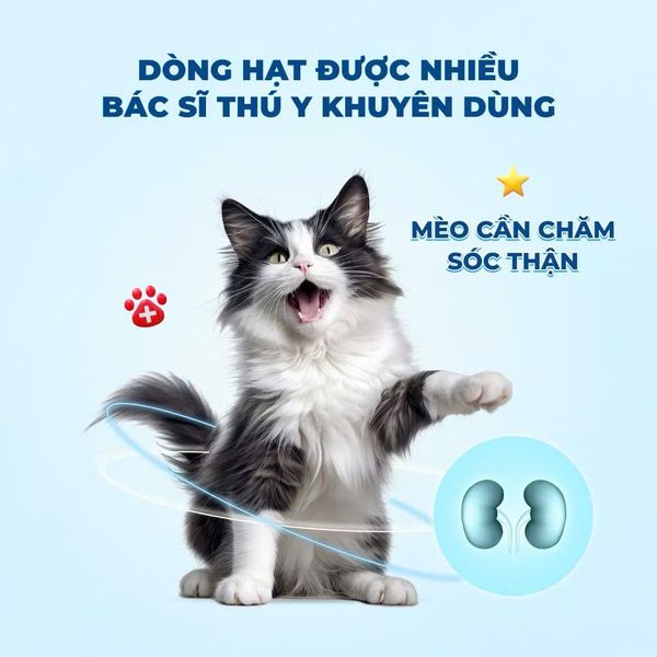 Mr. Vet T3 – Công thức Hỗ trợ Tiết Niệu (1kg)