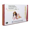 Revolution mèo & chó con <2.5kg trị kí sinh trong ngoài