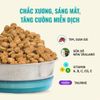 Thức Ăn Hạt Cho Mèo Bite Of Wild B45 - 1KG