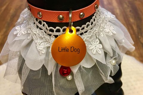 Bảng Tên Thú Cưng IMARC (Không kèm vòng cổ)