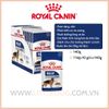 Royal Canin Maxi Adult 140g