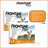 Frontline Plus Nhỏ Gáy Trị Bọ Chét & Ve Cho Chó Dưới 10kg