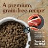 Taste Of The Wild Dog Sierra Mountain (2kg/12.2kg) - Vị Cừu Nướng