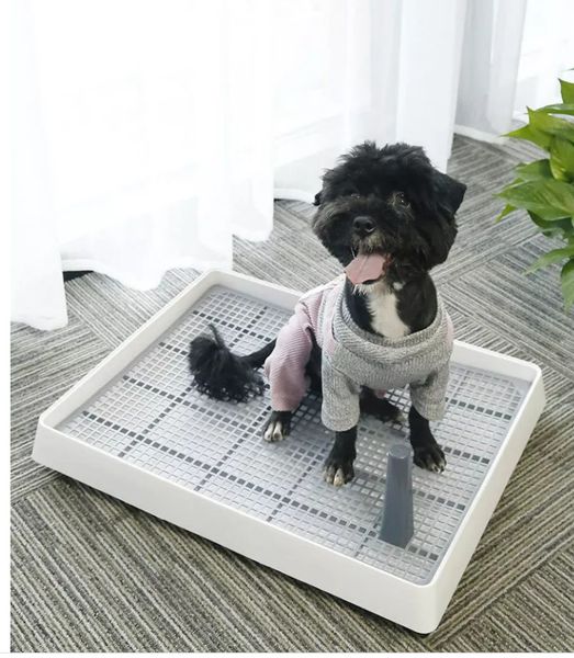 KHAY VỆ SINH YC CHO CHÓ - YC DOG TOILET (57x45)